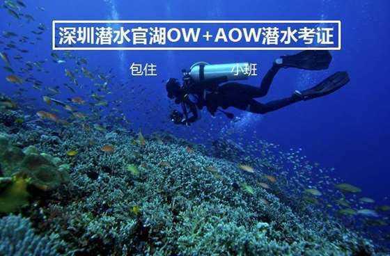 细胞分裂6